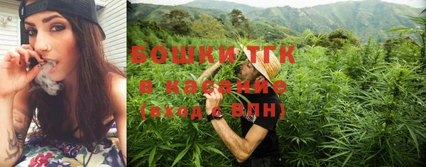 индика Абдулино