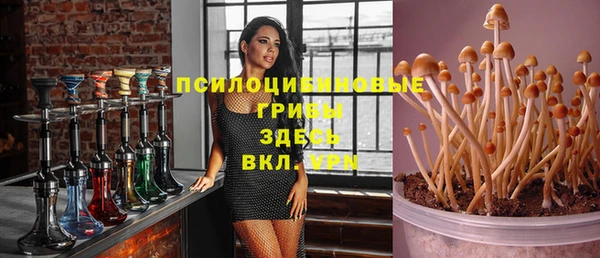 шишки Абинск