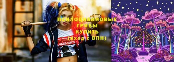 шишки Абинск
