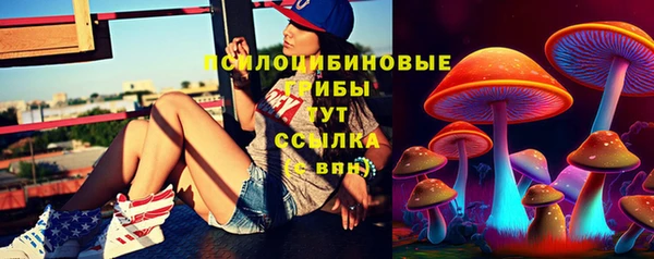 индика Абдулино