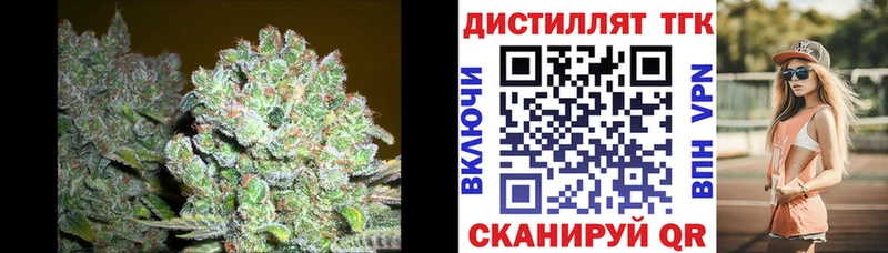 гидра tor  цены наркотик  Шилка  ТГК гашишное масло 