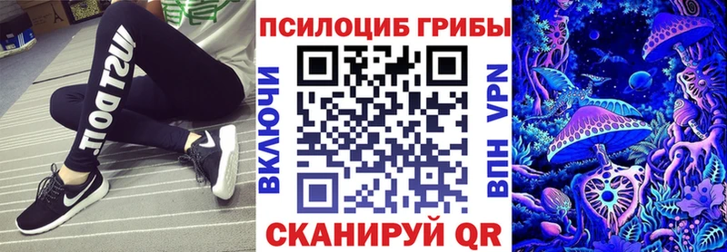Псилоцибиновые грибы Magic Shrooms  Шилка 